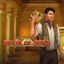 Book of Dead play demo